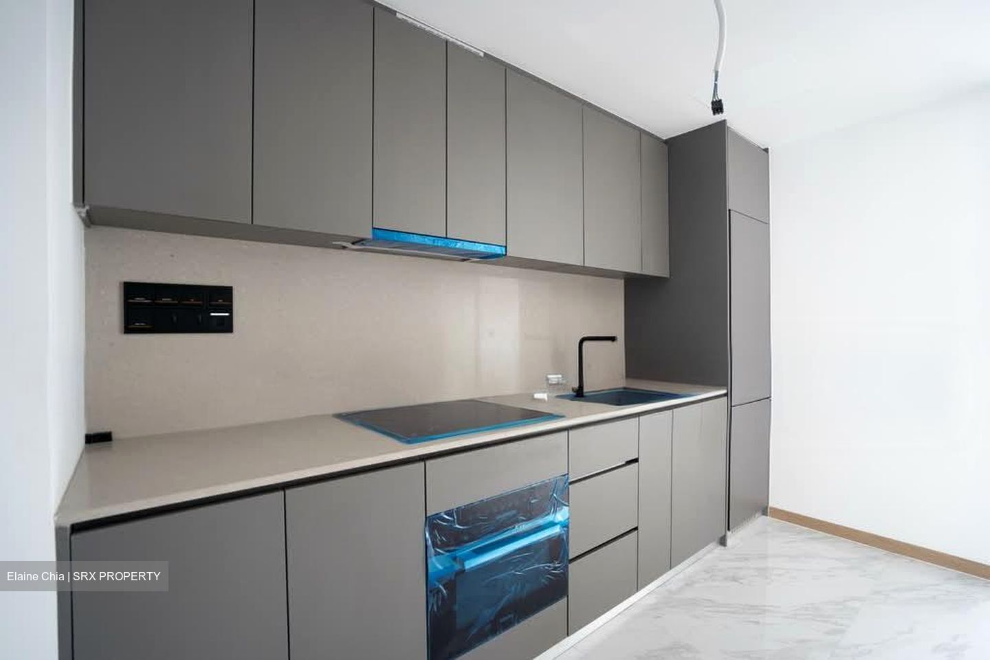 The Landmark (D3), Condominium #554572591